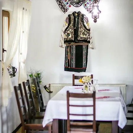 Guest house Domeniul Cris Vatra Dornei